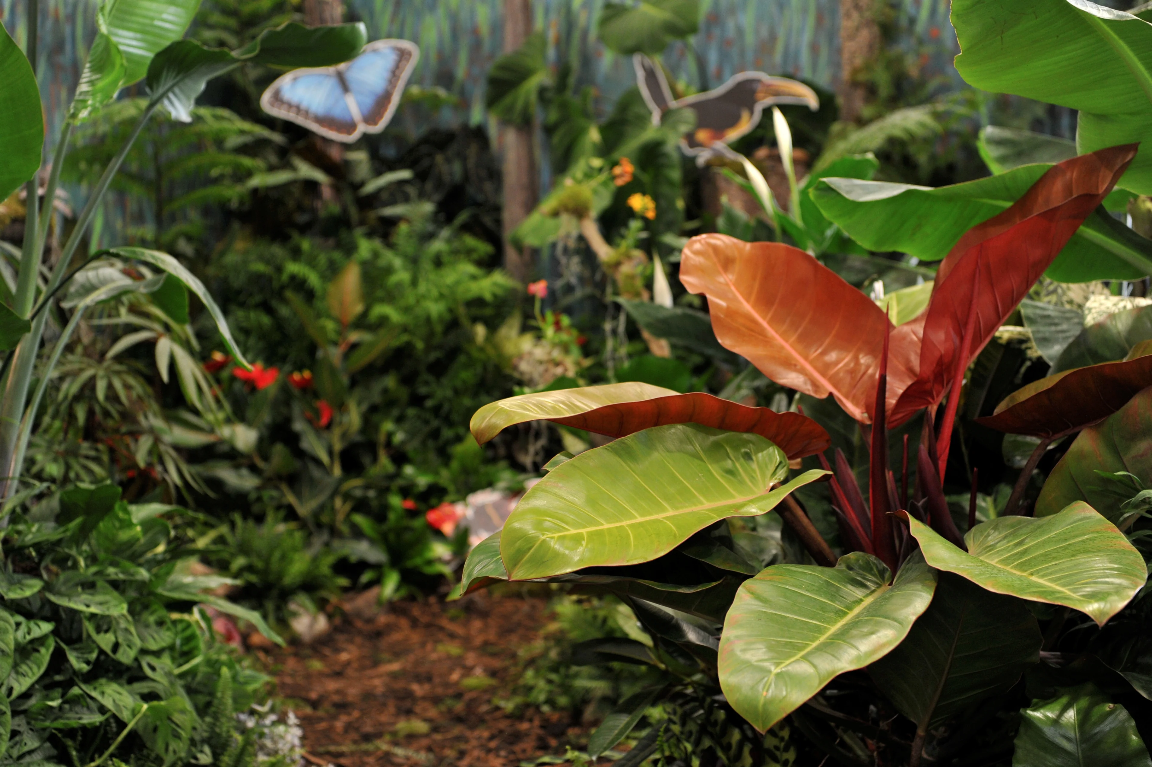 Bring Bristol's Best Greenery Home